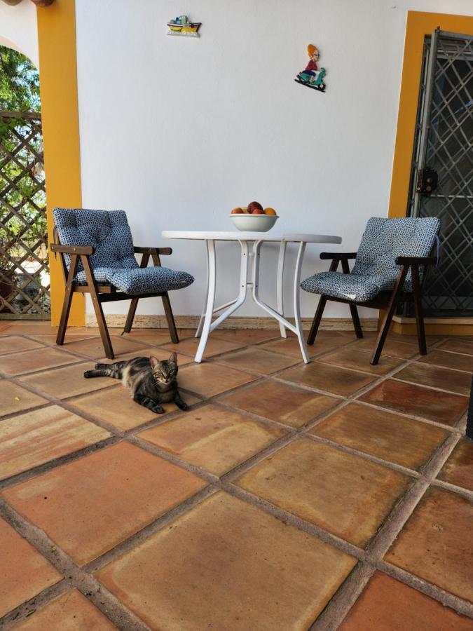 Quinta Das Amendoas การ์วอยโร ภายนอก รูปภาพ