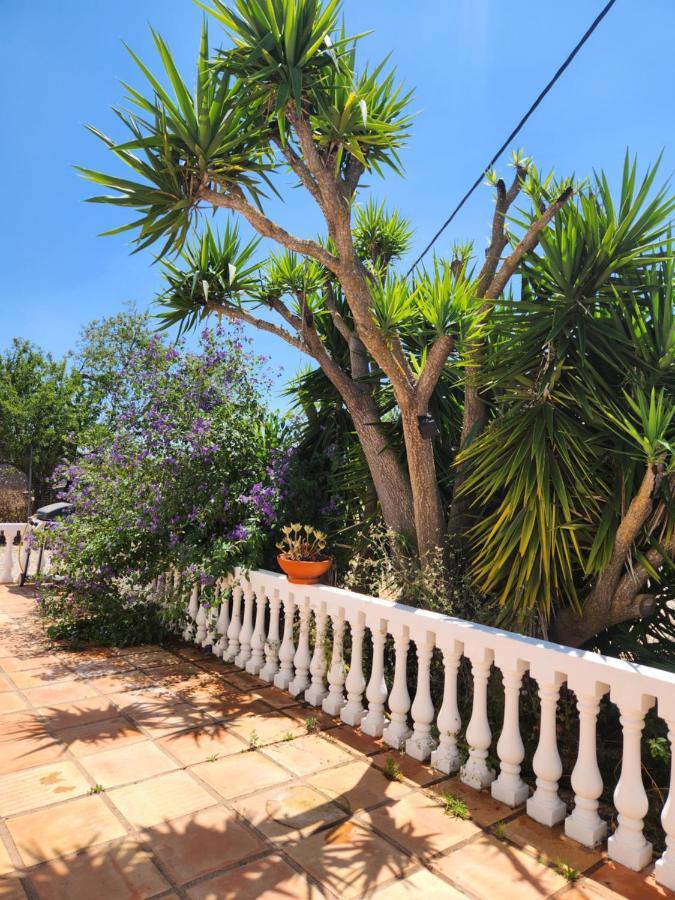 Quinta Das Amendoas การ์วอยโร ภายนอก รูปภาพ